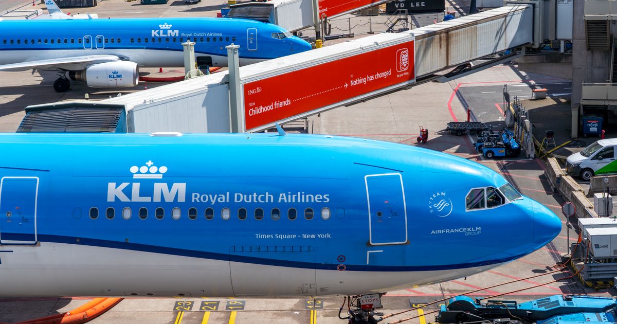 KLM planes parked at airport gates with jet bridges, representing the airline flight content travel agencies get from a GDS